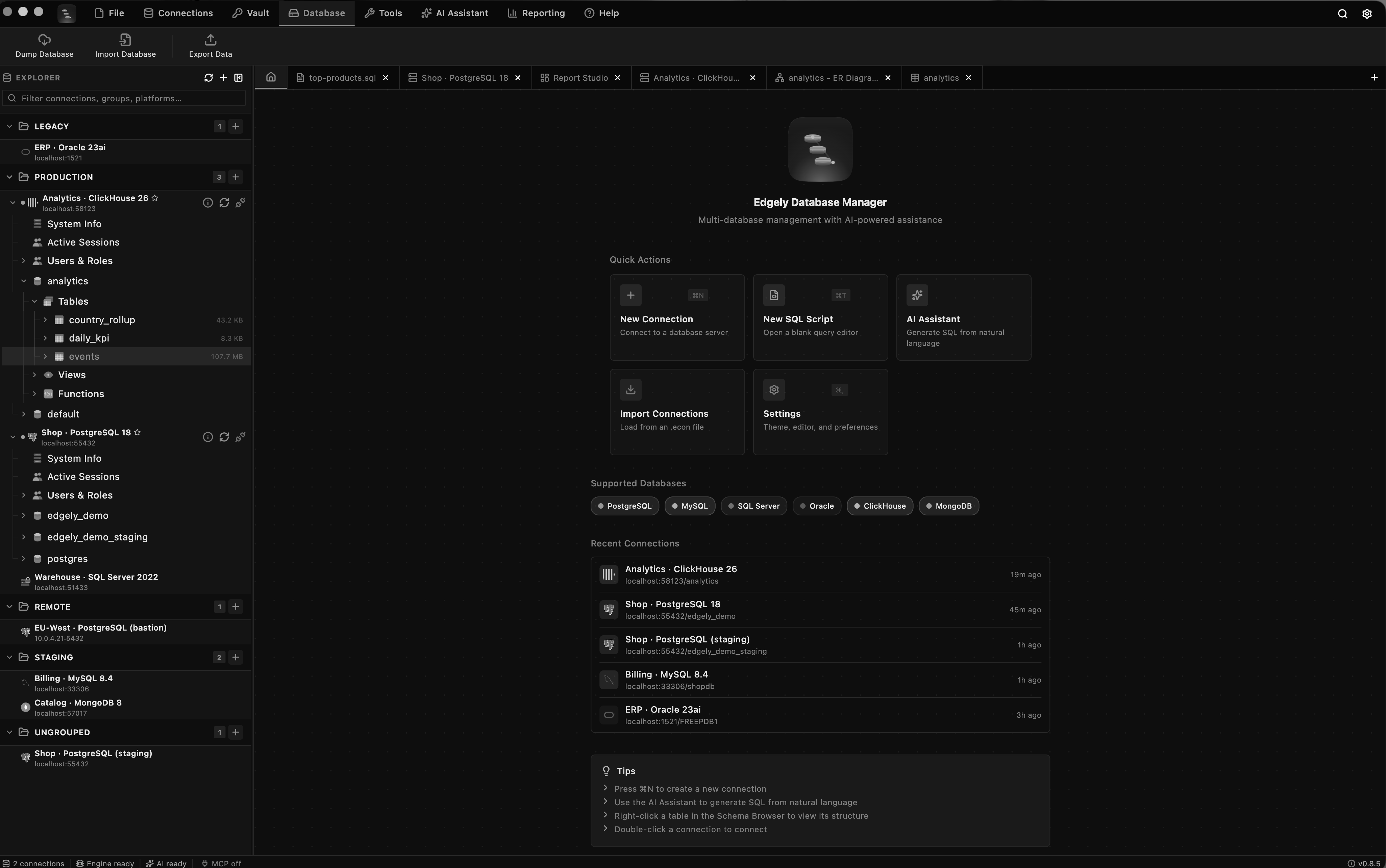 Edgely Database Manager home view, with the connection explorer and its schema tree on the left
